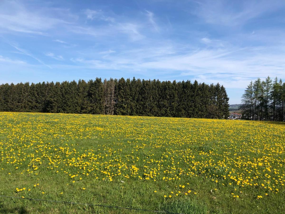 Ferienwohnung Am Wald Hachenburg Extérieur photo